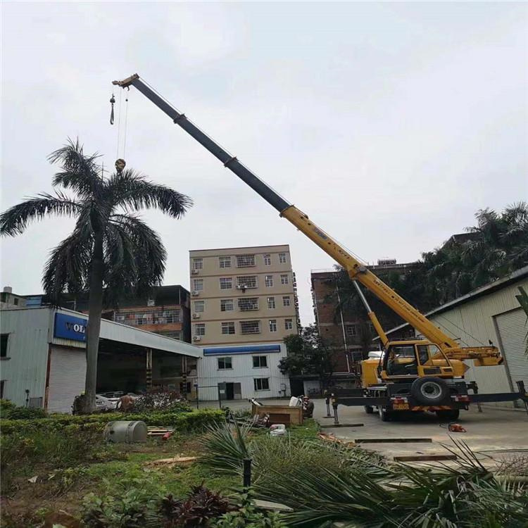 蠡县汽车吊出租多少钱？全面解析与市场行情